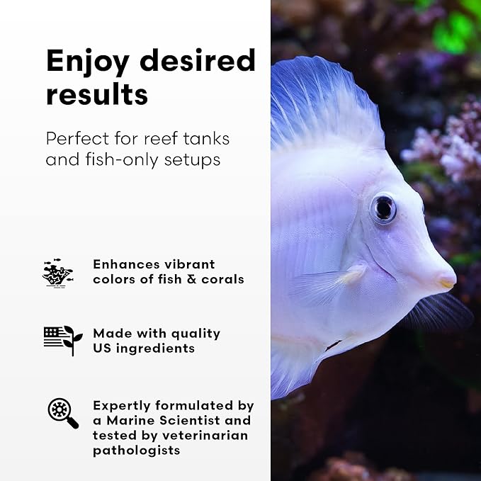 Brightwell Aquatics Rēplenish – Premium Trace & Minor Element Supplement for Marine Aquariums, Supports Healthy Fish, Corals, and Invertebrates, 500 ml
