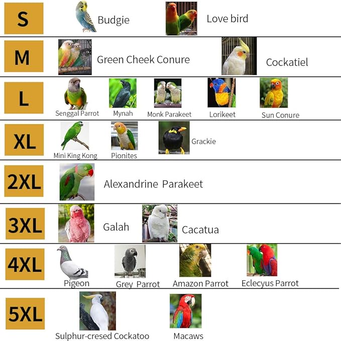 Bird Flight Harness Vest, Parrot Flight Suit with Leash, Bird Flying Clothes with Rope and Handle for Outdoor Activities (Without Leash,Cockatiel) (S, with Rope)