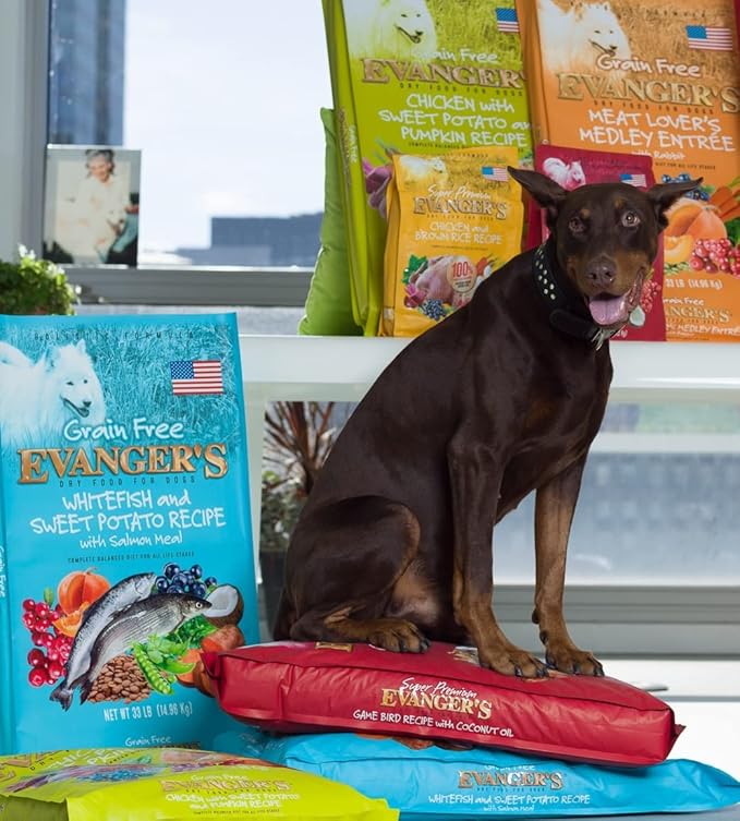 Evanger's Super Gamebird Recipe with Coconut Oil Dry Dog Food – 4.4 lb Bag – Hypoallergenic Duck & Turkey Formula – Grain-Free, Supports Digestive & Coat Health
