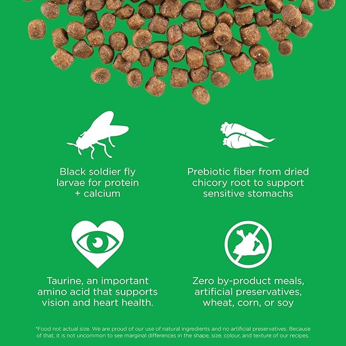 Go! Solutions Sensitivities Limited Ingredient Insect Grain-Free Dry Cat Food, Chicken-Free Kibble Made by Experts for Sensitive Stomachs & Food Allergies, for Adults, & Seniors, 6 lb Bag