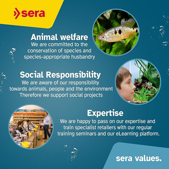 Sera Spirulina Tabs Nature 24 Tabs Plant-Based Food for Fresh Saltwater Fish | Boosts Digestion & Vitality | Free from Dyes & Preservatives | Ideal for Herbivorous Aquarium Inhabitants