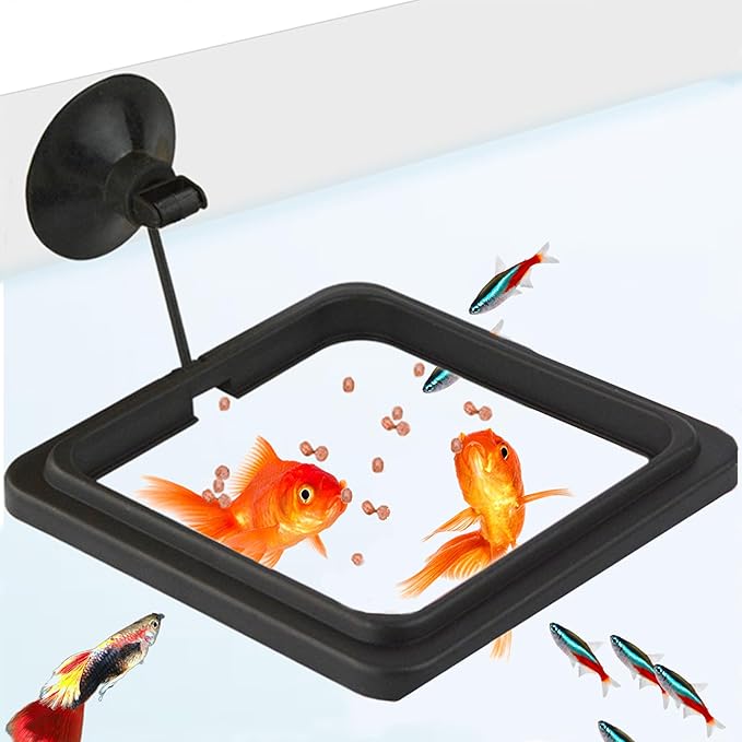 SunGrow Fish Food Feeding Ring, Stop Water Turbulence from Washing Food & Floating Plants into Filtration System, Suitable for Flakes & Floating Fish Pellets (3 Pieces)