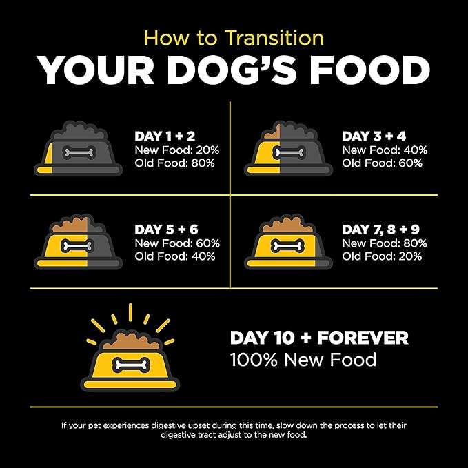 Go! Solutions Skin + Coat Care Duck Dry Dog Food with Grains, Chicken-Free, Healthy Kibble with Omega-3s & 6s for Soft, Shiny Fur, for Puppies, Adults, & Seniors, 12 lb Bag