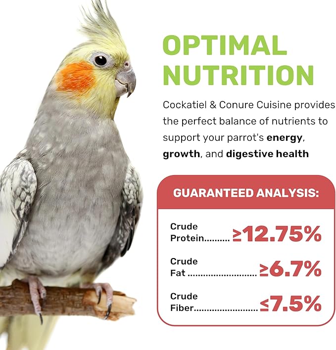 Cockatiel & Conure Cuisine 20lbs, Cockatiel & Conure Bird Seed, Nutrient-Rich Mixed Birdseeds, Bird Food for Cockatiels, Natural Mixed Seeds for Other Small Parrot, Daily Energy Growth & Balanced Diet