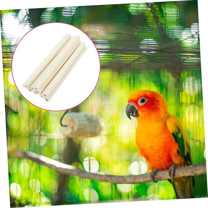 TOYANDONA 10pcs Natural Chewing Toys for Parrots Molar Sticks for Birds for Pets and Creative Bird Cage Accessories