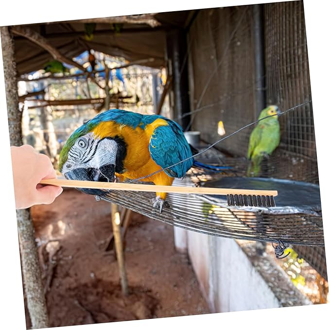 BESPORTBLE 2pcs Bird Cage Cleaning Brush Set Small Cleaning Brush Droppings Shovel for Efficient Bird Cage Maintenance for Small Animal Cages Household Cleaning Tools