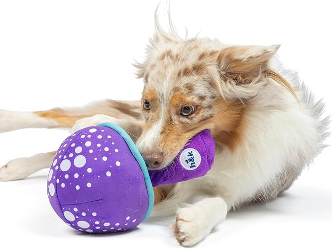Huxley & Kent for Dogs | Mellow Mushroom (Large) | Funny Dog Toy | Power Plush Dog Toy with Squeaker | Dog Gift | Fun, Durable | H&K Squeaky Dog Toy