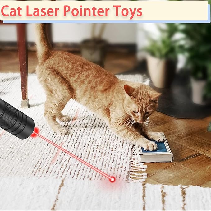MEUSNO Lazer Pointer, Red Laser Pointer High Power Cat Laser Pointer Toy Red High Power Rechargeable Lazer Pointer for Cats Dogs Toy, High Power Laser Pointer for Presentations Cat Dogs Pet Toy