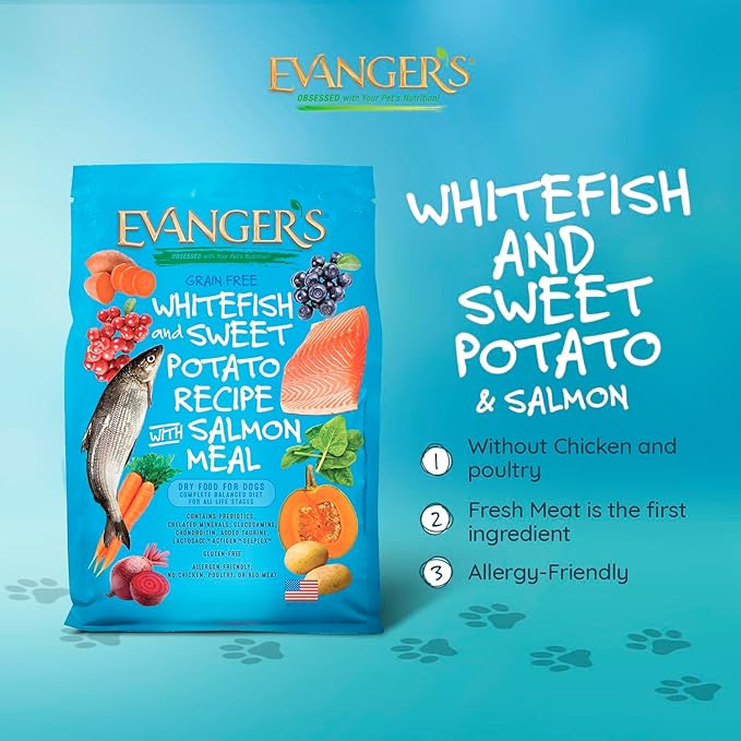 Evanger's Grain Free Whitefish and Sweet Potato Recipe with Salmon Meal Dry Food for Dogs – 16.5 lb – Chicken & Poultry Free, Prebiotics, Coconut Oil, All Life Stages