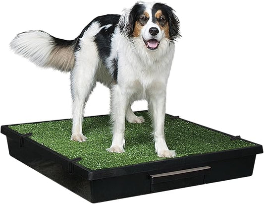 PetSafe Pet Loo Portable Dog Potty,Toilet Alternative for Puppy Pads, Perfect for House Training, Easy-to-Clean Grass Mat, Large