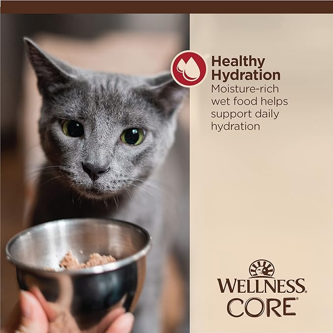Wellness CORE Tiny Tasters Minced Adult Wet Cat Food, Natural, Protein Rich, Grain Free, Chicken and Beef Recipe, 1.75 oz, Pack of 12 Pouches