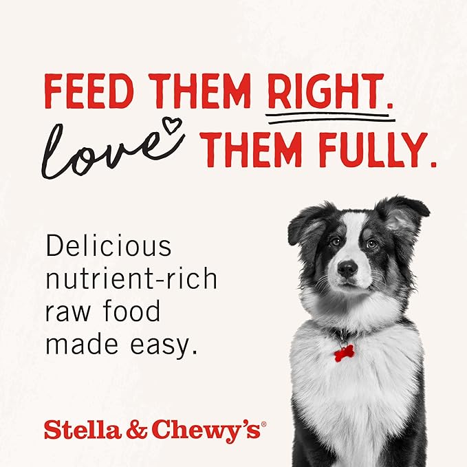 Stella & Chewy's Freeze-Dried Raw Chicken Heart Dog Treats - Single Ingredient, No Additives - Premium Training Treats - Perfect For Picky Eaters - 11oz Bag
