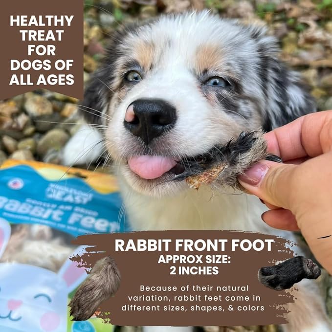 Rabbit Feet for Dogs & Cats - Air Dried Rabbit Feet Dog Treats - Made in USA - Rabbit Front Feet for Cats & Dogs - Whole Rabbit Feet with Fur for Dogs - Rabbit Feet Pet Treats- 24 Count
