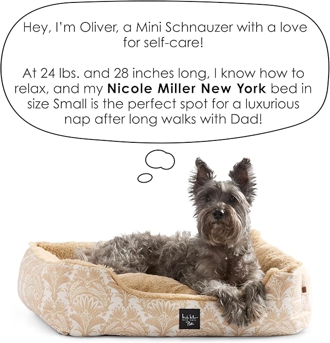 Nicole Miller New York PET Mod Damask Plushy Bolster Pet Bed, Cozy & Calming, Non-Slip Bottom, Machine Washable Cover, Blue, Small 24"x19"x7"