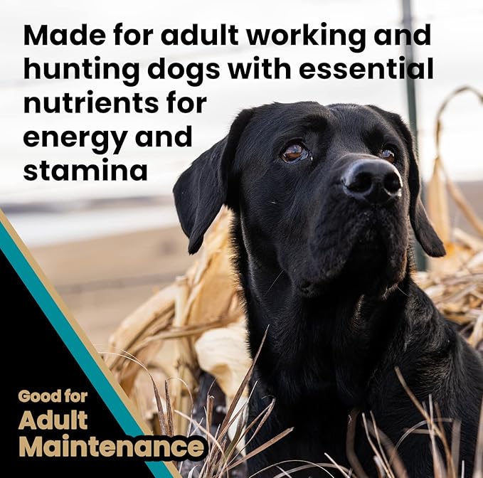 VICTOR Super Premium Dog Food – Realtree MAX-5 PRO High Protein Dry Kibble – Promotes Joint Health with Glucosamine – 30% Protein, Gluten Free for Active & Sporting Adult Dogs, 5lb