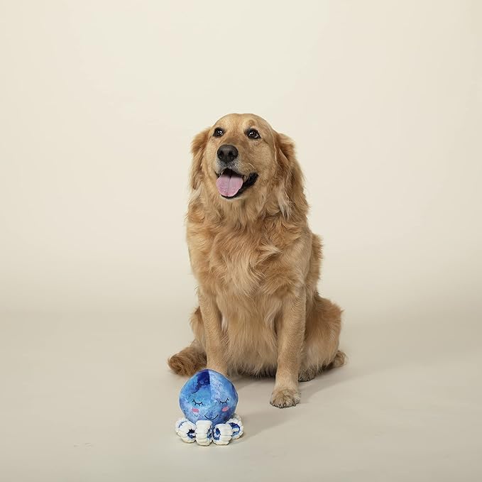 Fringe Studio Plush Dog Toy, You Octopi My Heart (289808)