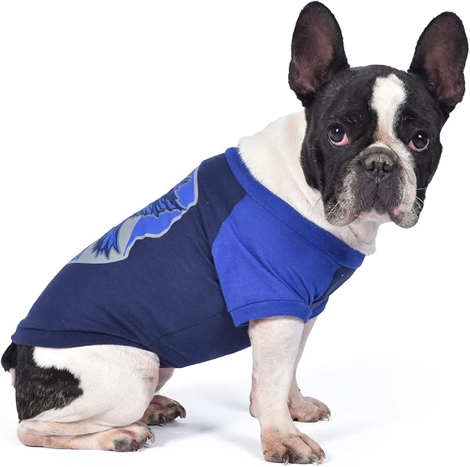 Harry Potter Ravenclaw Pet T-Shirt in Size Extra Large | XL Dog T-Shirt, Harry Potter Dog Shirt | Harry Potter Dog Apparel & Accessories for Hogwarts Houses, Ravenclaw Blue