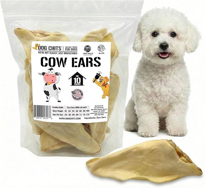 Dog Chits Cow Ears for Dogs – All Natural Cow Ear Dog Treats & Training Chews – High Protein, Low Fat – Thick Cut, Full-Sized – Dental Clean Crunch – Ideal for Medium & Large Dogs – Large, 10 Pk