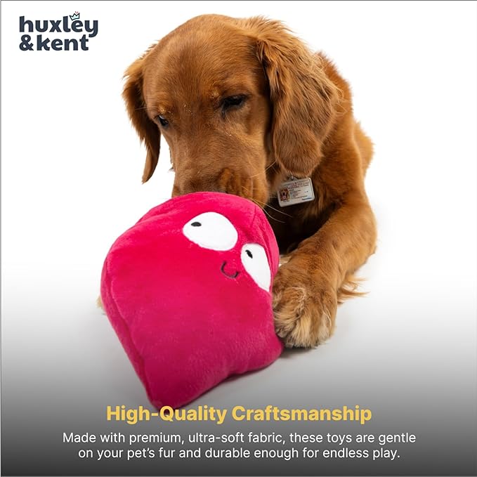 Huxley & Kent Interactive Funny Dog Toy w/Squeaker - Power Plush Treat Hiding Toy - Cute and Funny Soft Puzzle for Small & Large Dogs - Pop 'n Fetch Beet, Large