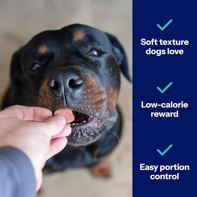 Covetrus Nutrisential Lean Treats for Large Dogs - Soft Dog Treats for Large Dogs - Nutritional Low Fat Bite Size K9 Treats - Chicken Flavor - 10oz - 6 Pack