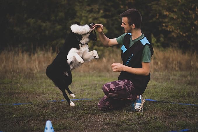 Dingo Natural tug Toy for Dog, Sheepskin Toy, Sheep Leather, for Chasing Motivation Reward Agility, Bungee Handle, Green 15581