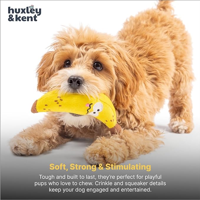 Huxley & Kent Funny Dog Toy w/Squeaker – Power Plush Squeaky Dog Toys for Small Dogs – Durable Small Stuffed Animal for Indoor Play & Fetch - Tiny Tuff Bruiser Banana
