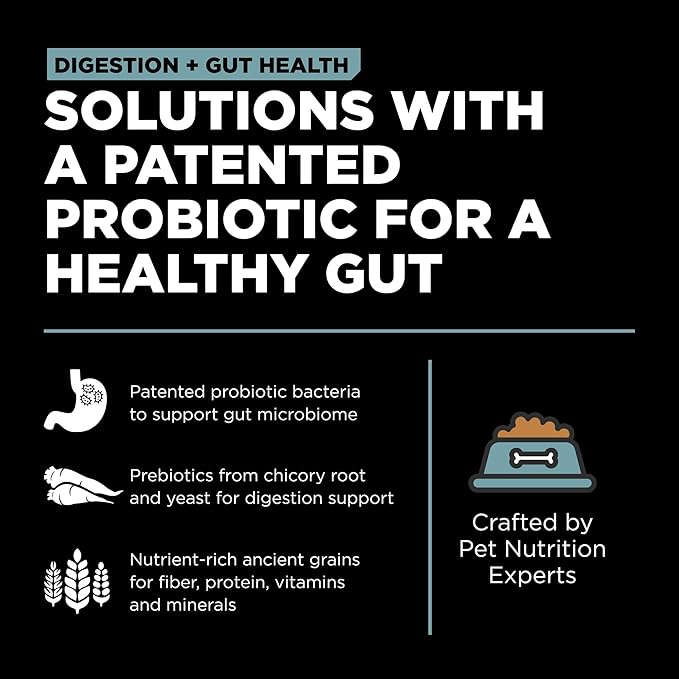 Go! Solutions Digestion + Gut Health Chicken Dry Dog Food, Premium-Quality Kibble for Gastrointestinal & Digestive Wellness, Supports Sensitive Stomachs, for Puppies, Adults & Seniors, 12 lb Bag