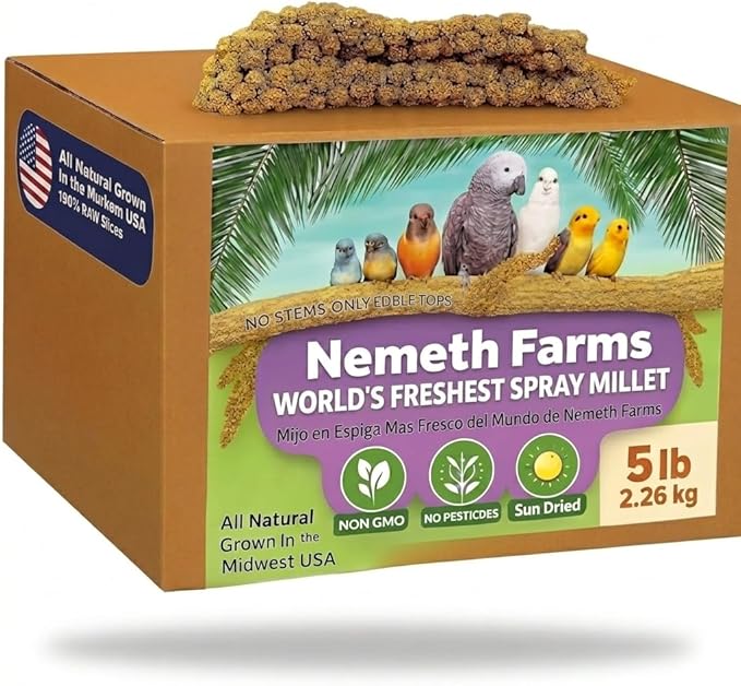 USA Grown Spray Millet for Birds – Midwest Harvest, 5 lbs Premium 100% Natural, Sun-Dried Non-GMO Whole Millet Sprays, Bird Treat for Parakeets, Budgies, Cockatiels, Conures, Lovebirds & Finches