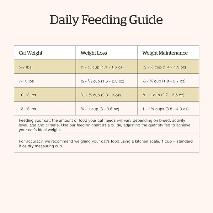 Now Fresh Adult Dry Cat Food, Turkey, Salmon & Duck Recipe, Grain-Free, Chicken-Free, 16 lbs