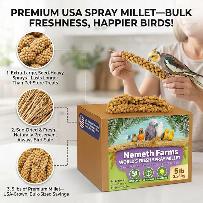 USA Grown Spray Millet for Birds – Midwest Harvest, 5 lbs Premium 100% Natural, Sun-Dried Non-GMO Whole Millet Sprays, Bird Treat for Parakeets, Budgies, Cockatiels, Conures, Lovebirds & Finches