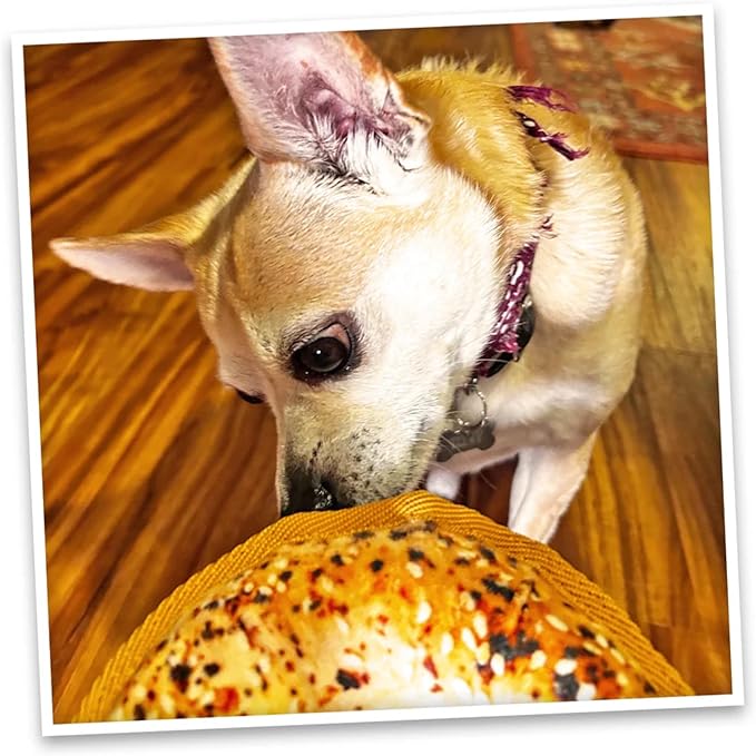 Doggijuana Cafe Combo Refillable Juananip Toy Bundle | Avocado Toast & Everything Bagel | Funny Dog Toy Plush with Catnip and Refill | Interactive Chew for Play