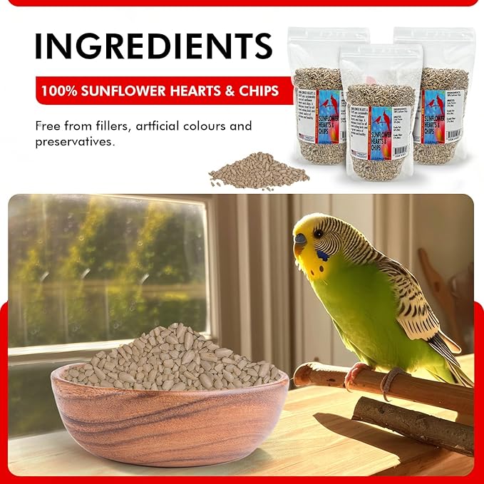 Morning Bird Sunflower Hearts & Chips 4.5 lbs (3-Pack, 1.5 lbs Each) – Premium Bird Seed with High Protein & Healthy Fat - Shelled Sunflower Hearts for Birds - Mess Free, Easy to Feed, Delicious Snack