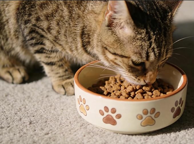 BuddyEver Crunchy & Creamy Cat Treats, Chicken Flavor Training Cat Snacks, Real Chicken First Ingredient, 5 oz Bag