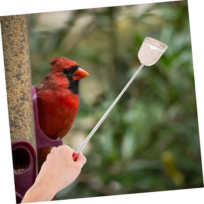 2pcs Bird Cage Cleaning Brush Droppings Cleaner Brush Kit Small Pet Cage Accessories for Bird Supplies Cleaning Tools