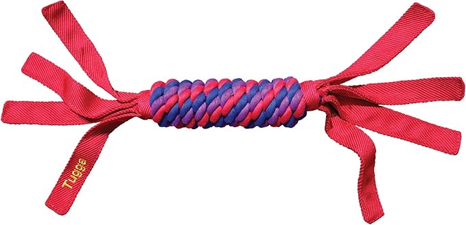 KONG Tugga Wubba Dog Toy [Set of 2] Size: Large