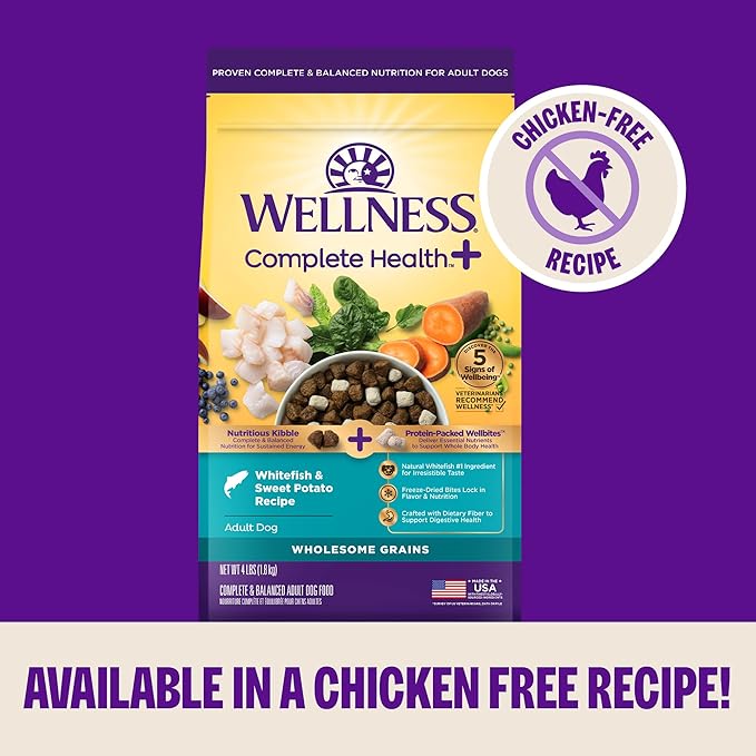 Wellness Complete Health+ Small Breed Adult Dry Dog Food with Freeze Dried Wellbites, Wholesome Grain Kibble+, Natural, Turkey and Oatmeal Recipe, 3.75 lb Bag