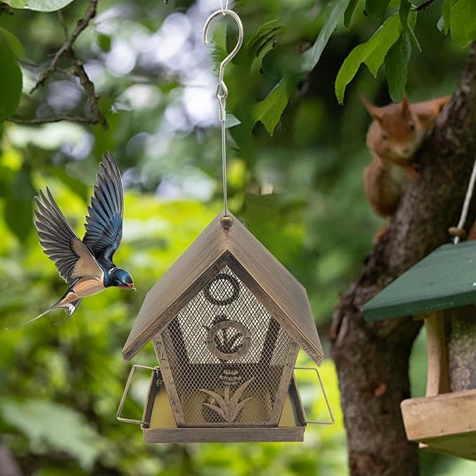 Outdoor Bird Feeder,Large Capacity Squirrel Proof | Outdoor Small Bird Feeder with Buckle | for Backyard Deck Balcony Tree Yard Bluebird Finch Birding Feeding