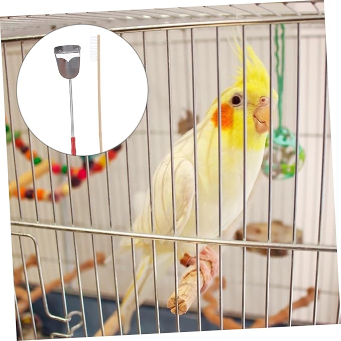 Abaodam 2pcs Bird Cage Cleaning Tools Set Brush Shovel for Parrot and Birds Efficient Waste Removal for Tidy Habitats Essential Pet Supplies