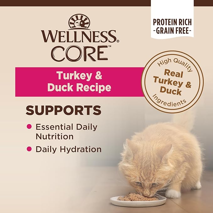 Wellness CORE Pate Adult Canned Wet Cat Food, Natural, Protein Rich, Grain Free, Turkey and Duck Recipe, 3 oz, Pack of 12 Cans