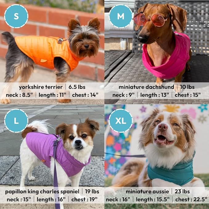 Gooby Puffer Vest Dog Jacket - Blue, Medium - Ultra Thin Zip Up Wind Breaker with Dual D Ring Leash Water Resistant for Small to Medium Dogs
