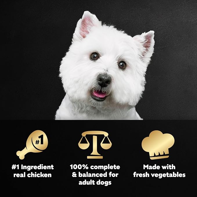 Cesar Wholesome Meals Wet Dog Food Chicken, Carrots, Barley & Green Beans Recipe, Wet Food for Dogs, 17.6 oz Pouch, 12 Count