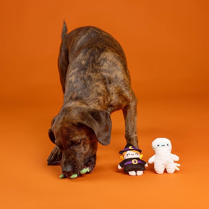 Fringe Studio Pet Toy, Ghouls Wanna Have Fun Plush Dog Toy 3 PCS Set,Pet Shop Collection (662192)