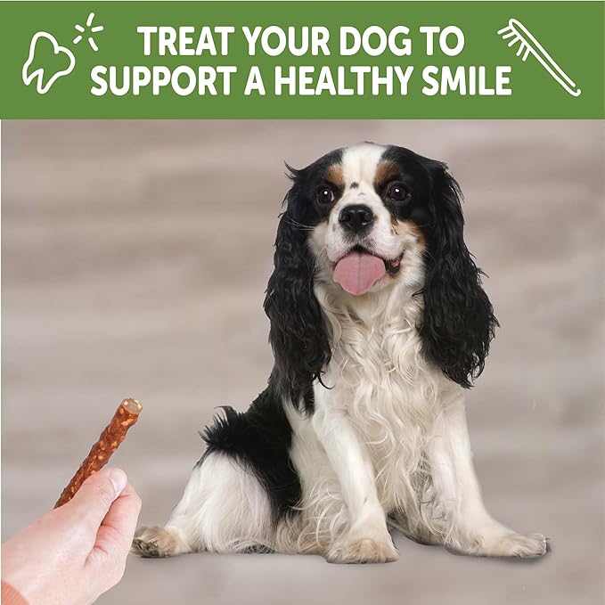 Wellness WHIMZEES Veggie Sausage Dog Dental Treat, Chews, Freshens Breath, Small Size, 14.81 oz Bag, 28 Count