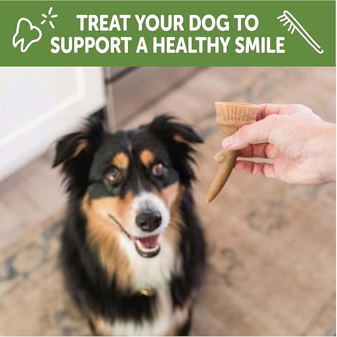 Wellness WHIMZEES Antler Occupy Dog Dental Treat, Chews, Freshens Breath, Large Size, 12.7 oz Bag, 6 Count