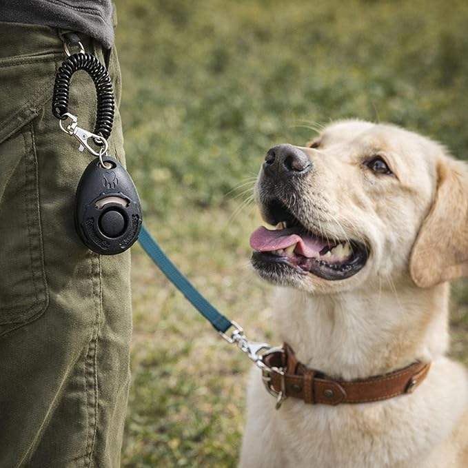 Dog Training Clicker with Wrist Strap - OYEFLY Durable Lightweight Easy to Use, Pet Training Clicker for Cats Puppy Birds Horses. Perfect for Behavioral Training 4-Pack (4colour)