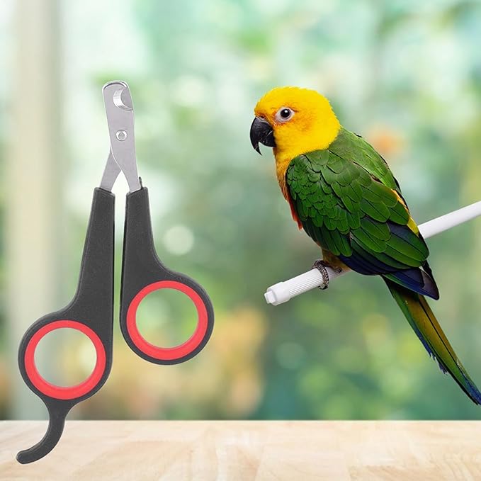 Pissente Stainless Steel Bird Cage Essential Accessories, Chicken Nail Clippers Small Animals Grooming Tool, Bird Nail Clipper, Convenient, Bird Nail Clippers for Small Birds