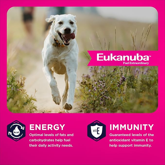 Eukanuba Adult Large Breed Dry Dog Food, 35 lb bag