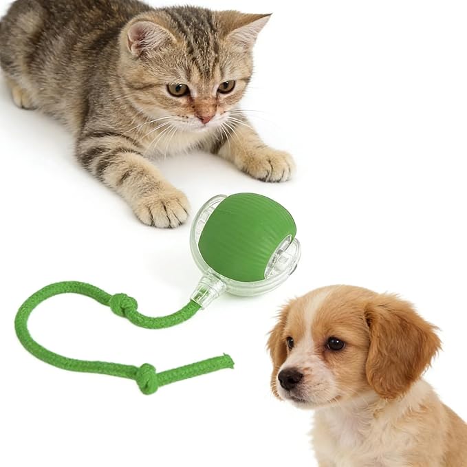 RightBliss Automatic Interactive Cat Dog Toy with Elastic Tail: Chirping Sound, Smart Obstacle Avoidance for Indoor Cats & Kittens (Green)