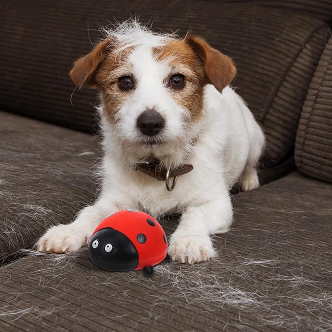 Squeaky Latex Pet Chew Toy Ladybug Spider Design for Puppy Teething Durable Interactive Dog and Cat Toy