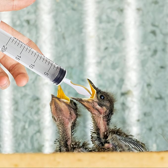 2 Pack Small Pet Feeding Syringe Sets, Including 2PCS 20ml Feeding Syringes, 2 PCS 30ml Milk Containers, 2 Soft Feeding Spoons and 2 Powder Spoons, Bird Parrot Feeder Spoon with Manual Syringe